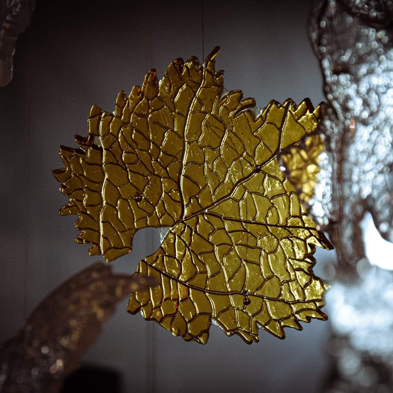 Vitis Vivendo - Image 3